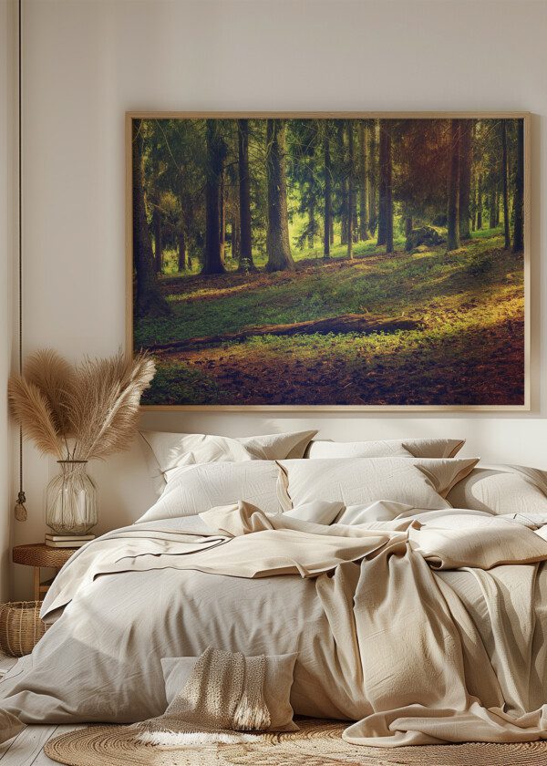 SPRUCE FOREST
