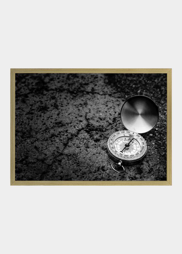 COMPASS