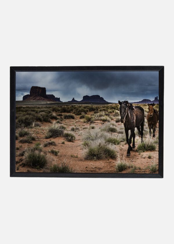 HORSES