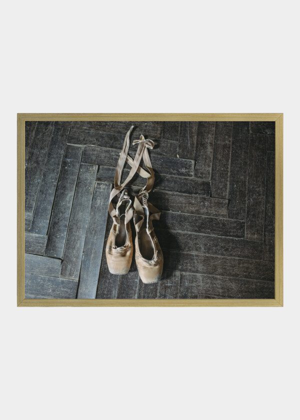 BALLET SHOES