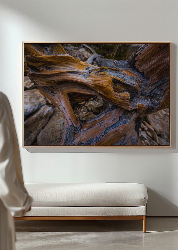 DRIFTWOOD