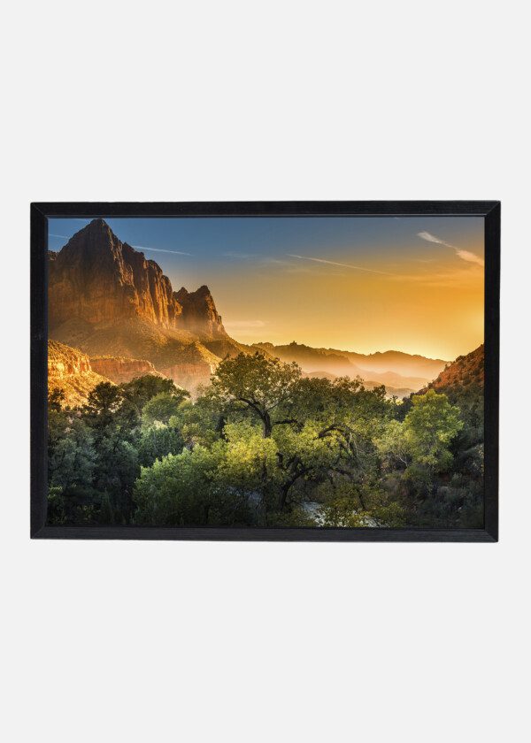 MOUNTAINS AND FOREST
