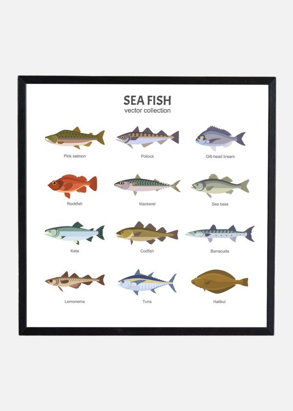 COMMON FISH SWEDEN