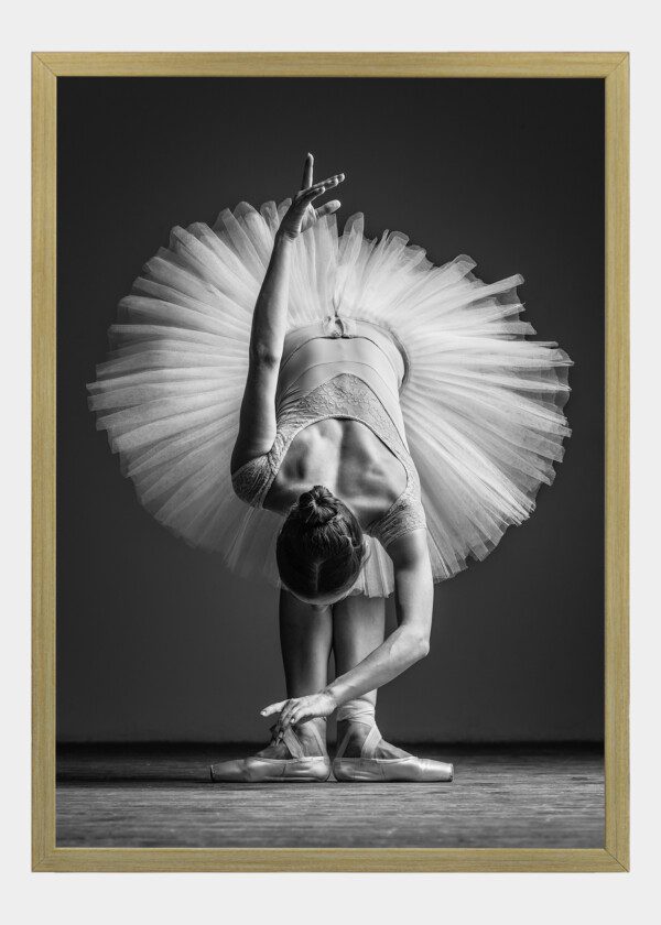 BALLET DANCER