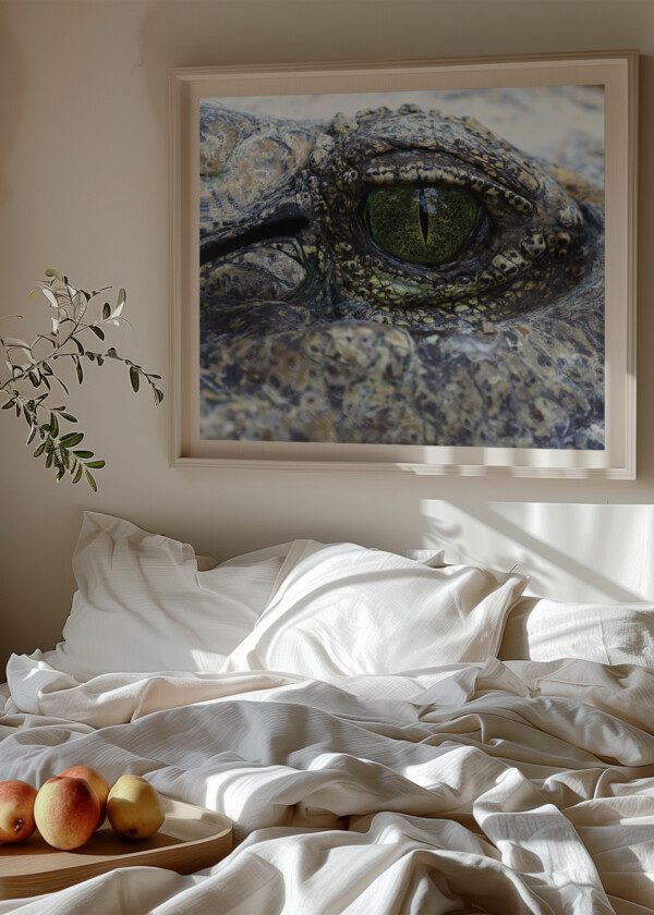 CROCODILE EYE