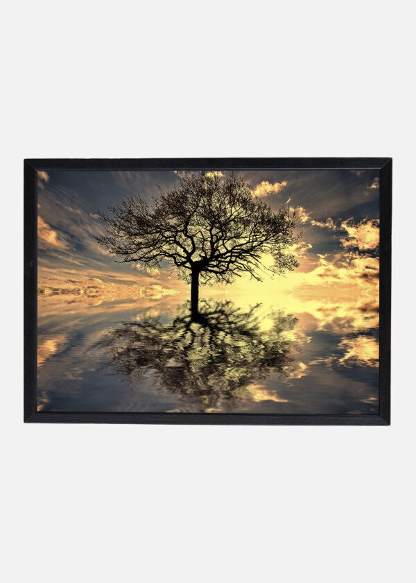 REFLECTING TREE