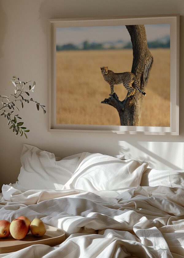 GEPARD