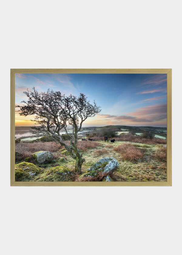 NATURE PICTURE WITH BLACK TREE