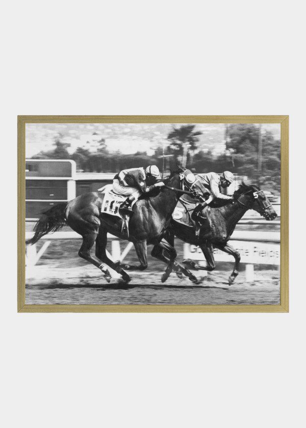 RACEHORSE