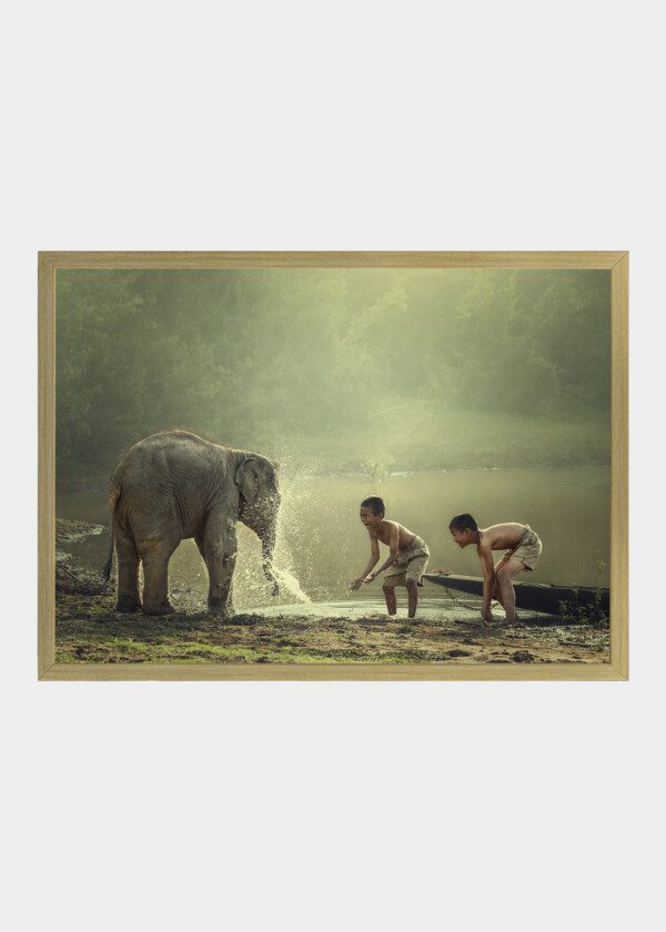 BOYS PLAYING WITH ELEPHANT