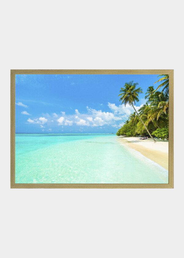 SANDY BEACH AND PALM TREES