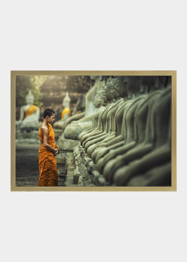 MONK BOY IN TEMPLE