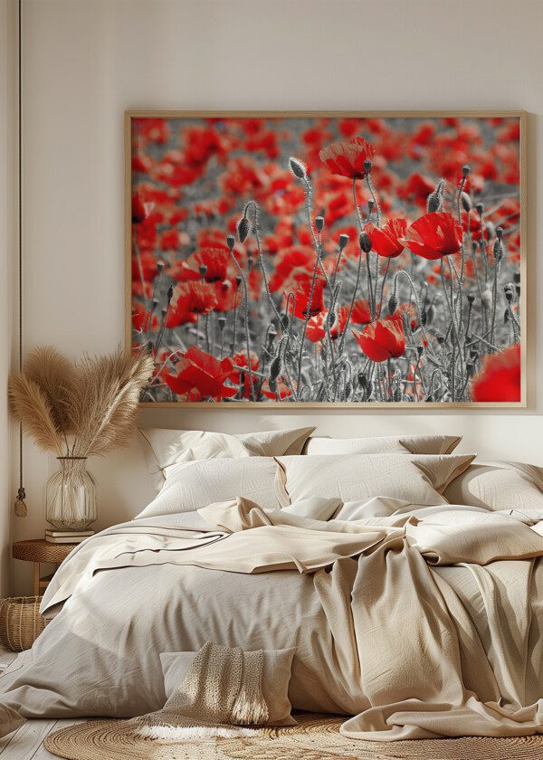 POPPY FLOWERS