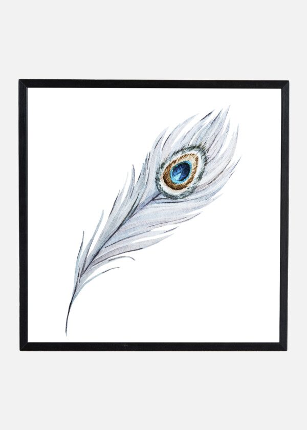 WATERCOLOR ILLUSTRATION OF A WHITE PEACOCK FEATHER