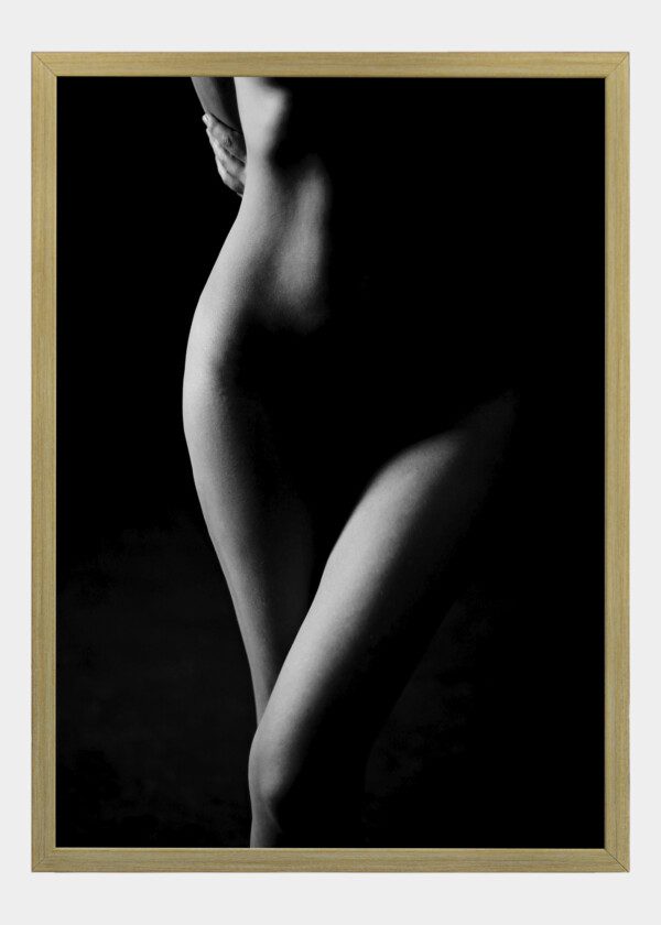 FASHION ART STUDIO PORTRAIT OF AN ELEGANT NUDE LADY