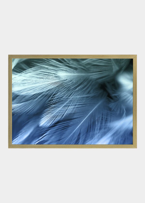 BLUE AND GREEN CHICKEN FEATHERS IN A SOFT BLURRY STYLE FOR BACKGROUND