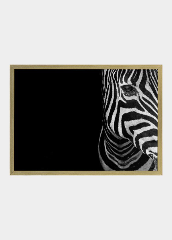 ZEBRA PORTRAIT. BLACK AND WHITE
