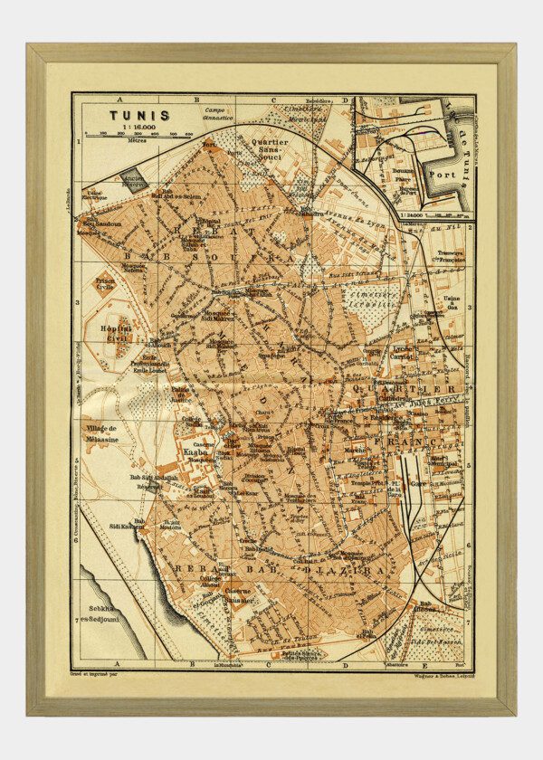 TUNIS, TUNISIEN 1909