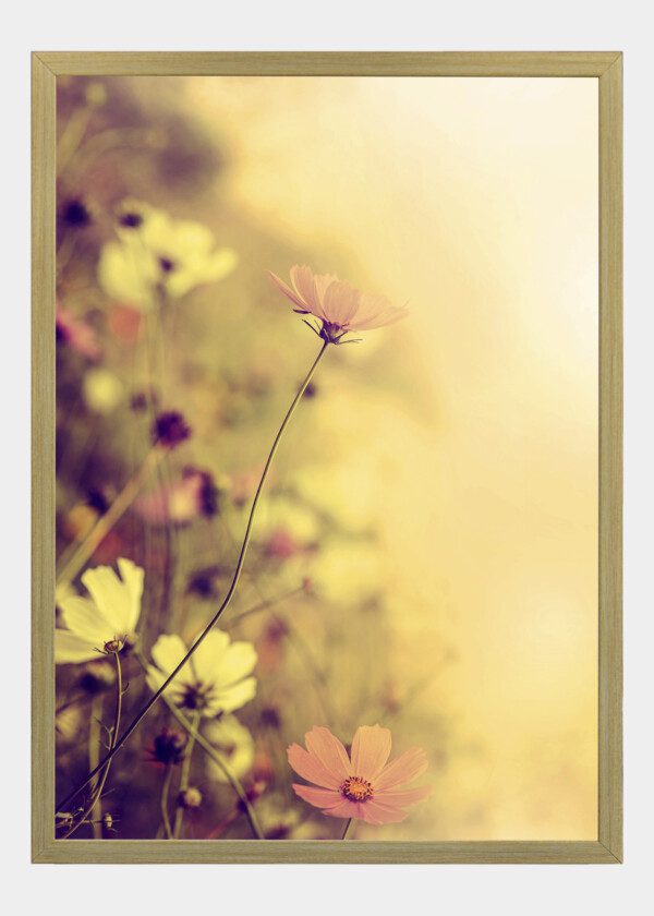 RETRO STYLE FLOWER