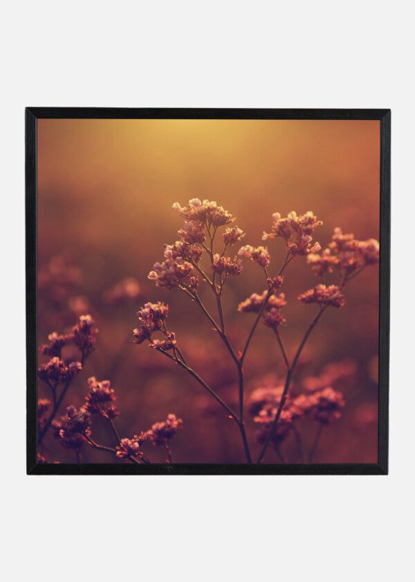 RETRO VINTAGE FLOWERS