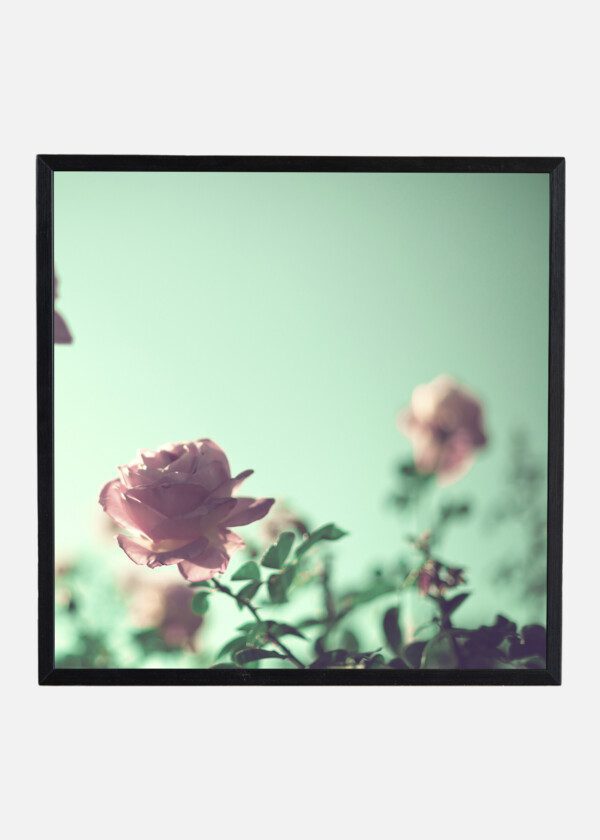 RETRO VINTAGE FLOWER