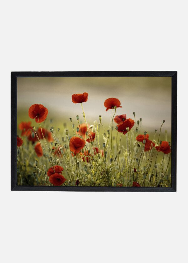 RETRO VINTAGE FLOWER