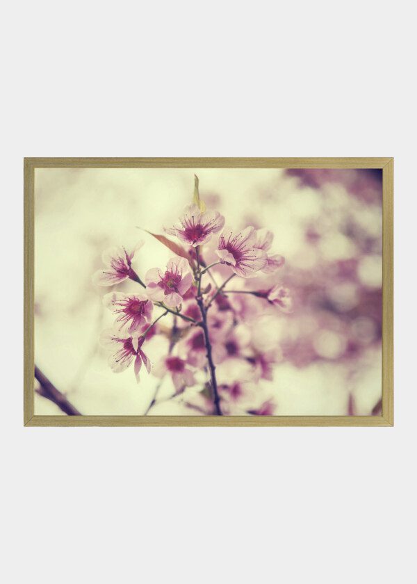 RETRO VINTAGE FLOWER