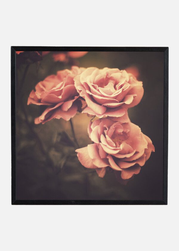 RETRO VINTAGE FLOWER