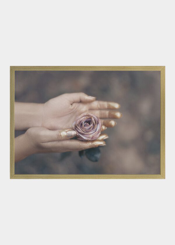 HOLDING A ROSE