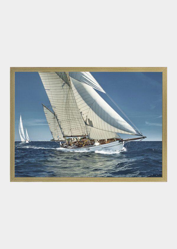 SAILING YACHTS RACE