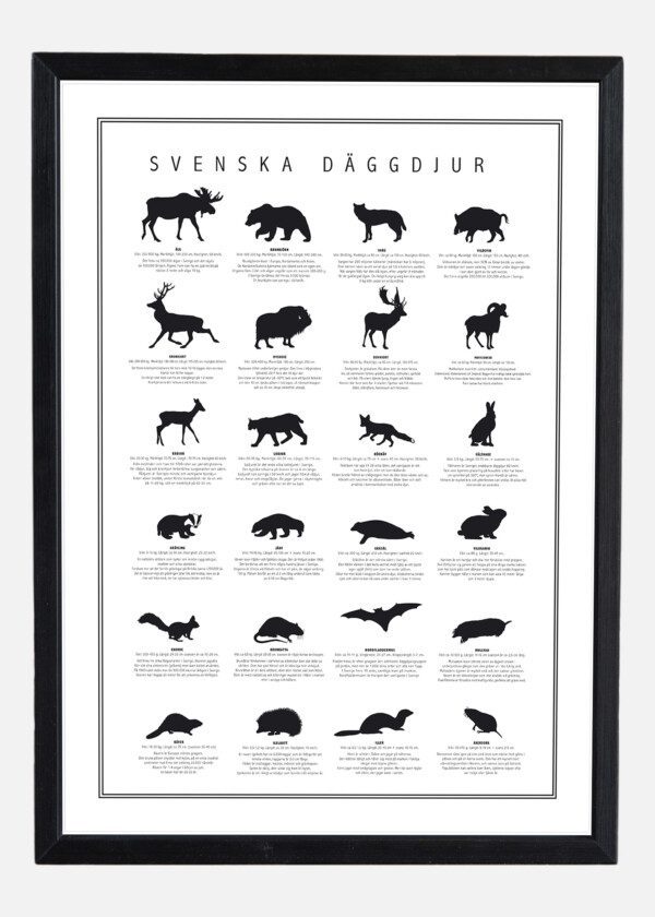 SVENSKA DÄGGDJUR