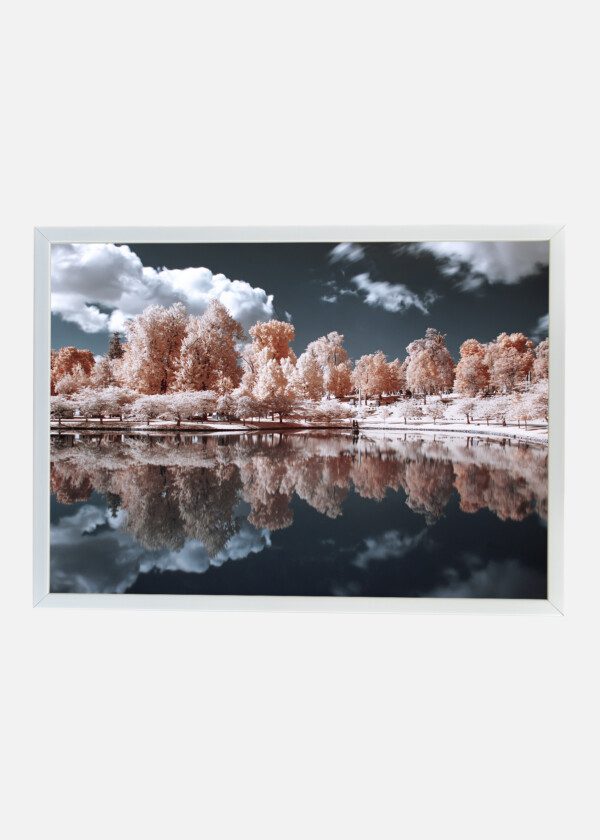 PINK TREES