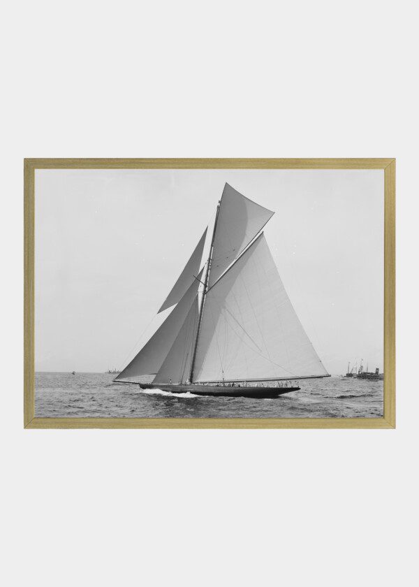 SY SHAMROCH II 1901