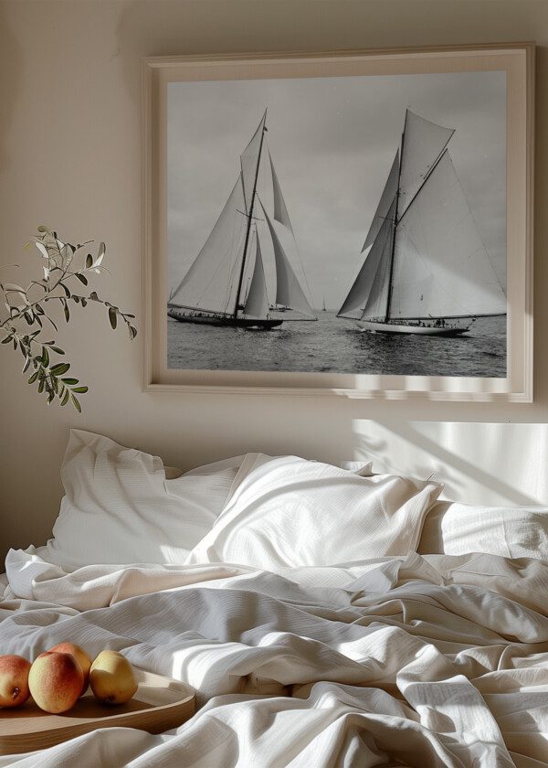 SHAMROCK II AND COLUMBIA 1901