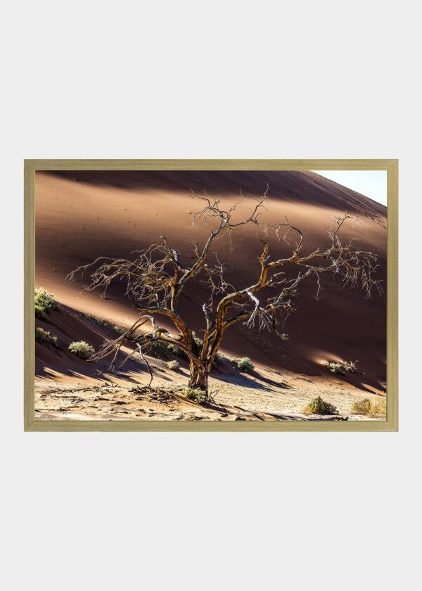 DEAD TREE