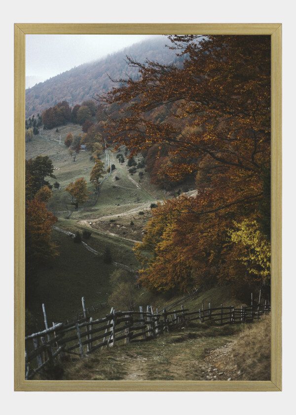 ROLLING LANDSCAPE