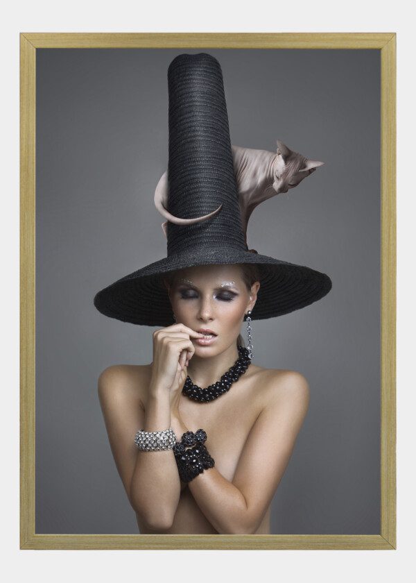 SEXY FAIRY WITH A CAT ON A BIG HAT