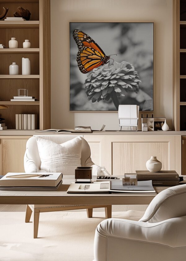 MONARCH BUTTERFLY, COLOR ON BLACK AND WHITE