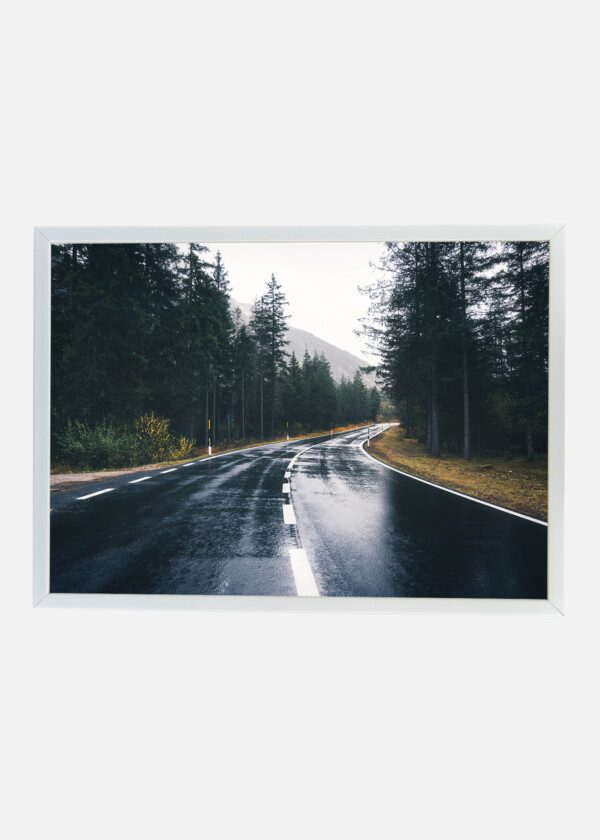 ROAD IN THE SPRING FOREST IN RAIN