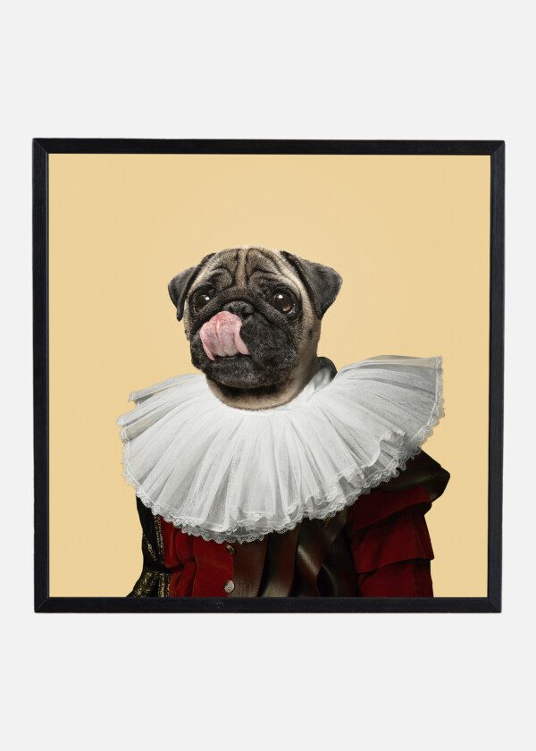 MODEL LIKE MEDIEVAL ROYALTY PERSON IN VINTAGE CLOTHING HEADED BY DOG HEAD ON YELLOW