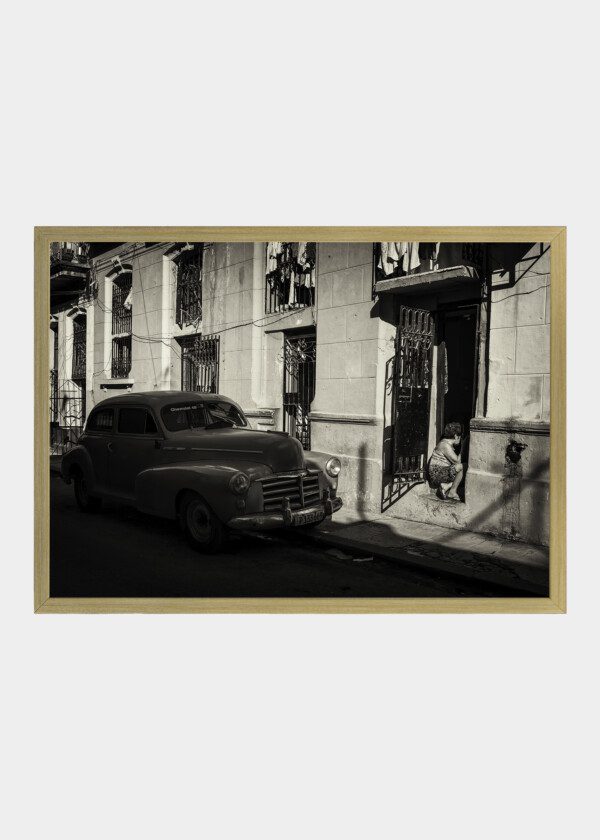 HABANA GATAN