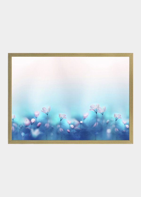 SPRING FOREST WITH WHITE PRIMROSES FLOWERS ON A BEAUTIFUL SOFT LIGHT BLUE BACKGROUND